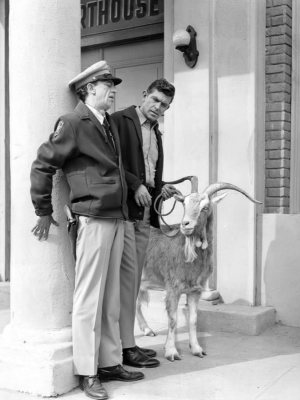 Andy Griffith