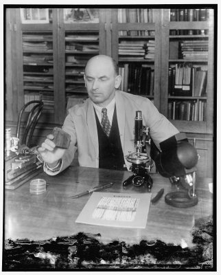 Arthur Koehler