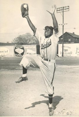 Archie Ware