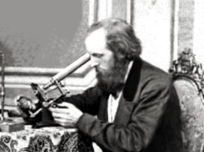 George Stacy