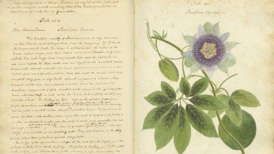 Anne Kingsbury Wollstonecraft