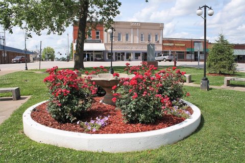 Flowers in Town Square Park