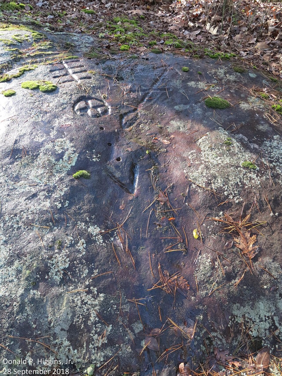 Crow Mountain Petroglyph