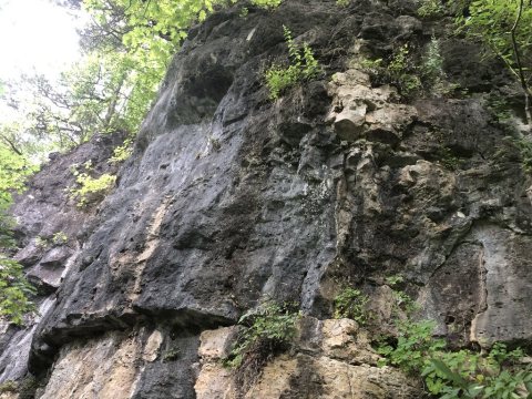Ha Ha Tonka State Park Cliff
