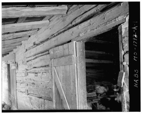 Dirckx House, Chicken Coop