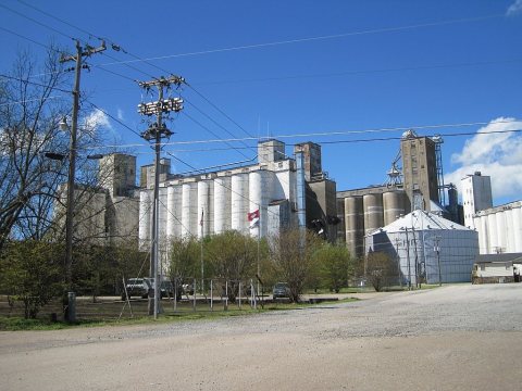 Wheatley AR 008