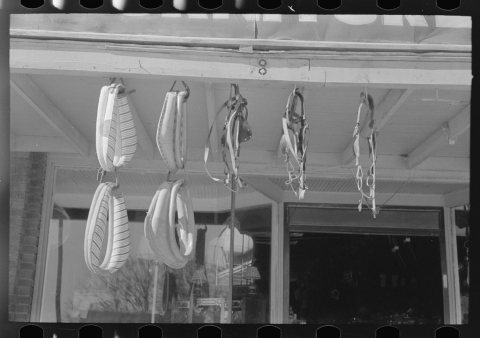 Horse collars and harness in front of store