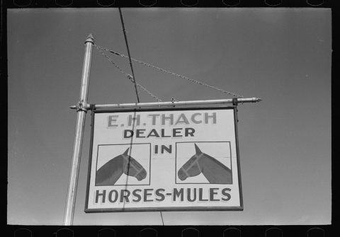Sign of horse and mule dealer