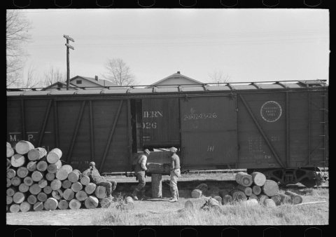 Loading logs to be made into barrel staves at Tallulah, Louisiana. Loading point