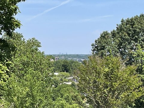 Downtown St. Louis seen from