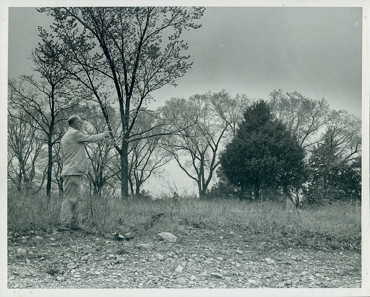 Fort Wyman in