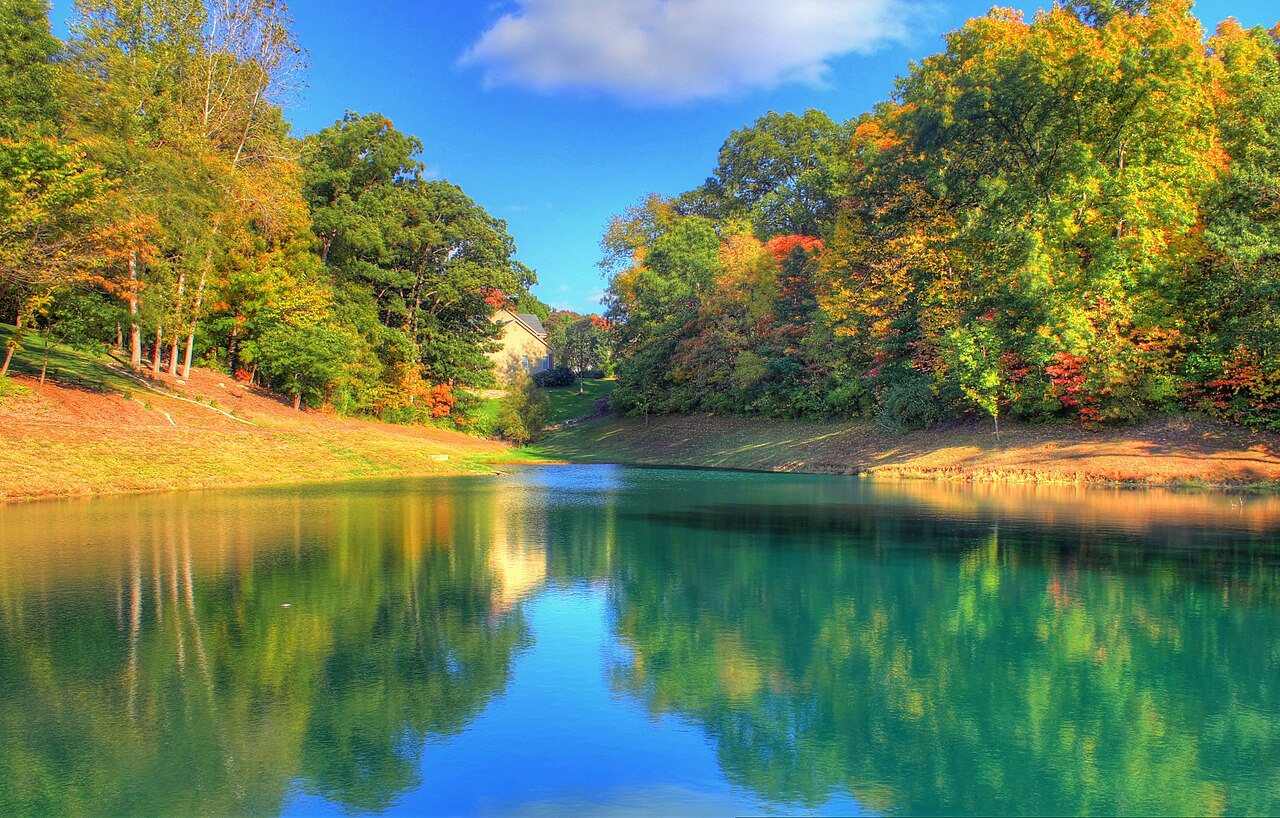 Gfp-missouri-st-louis-pond-and-trees
