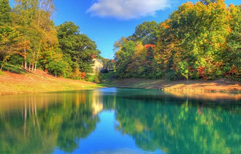 Gfp-missouri-st-louis-pond-and-trees