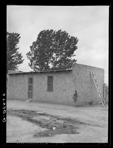 Abode houses for sugar beet workers. Hysham, Montana