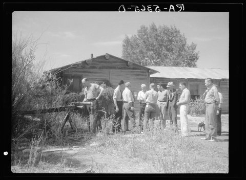 Drought committee stops for drink at artesian well on farm near Broadus, Montana