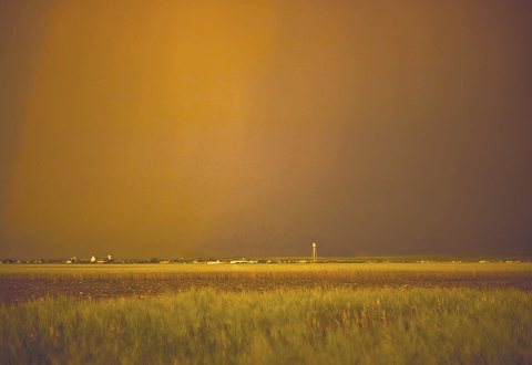 Field at edge of