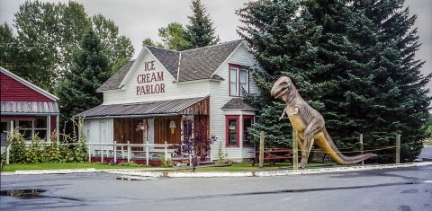 Dinosaur and ice cream Choteau MT2