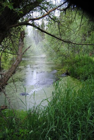 Week 2, Montana Waterfowl Foundation