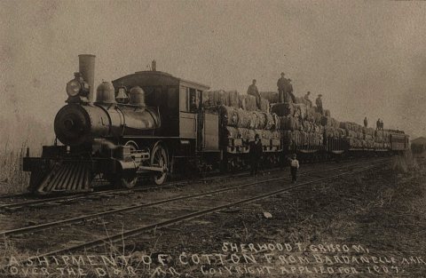 Shipment of cotton from Dardanelle, Arkansas over the D and R. Railroad - 1907 by Sherwood T. Grissom