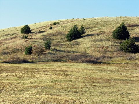 D-17a. Windlass Hill on the California, Mormon Pioneer, and Oregon National Historic (2005)