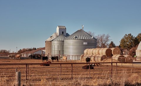 A bustling grain-silo operation