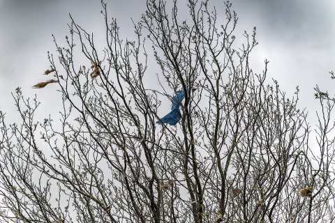 Debris in trees in the community of Bennington, NE following the April 26 tornadoes