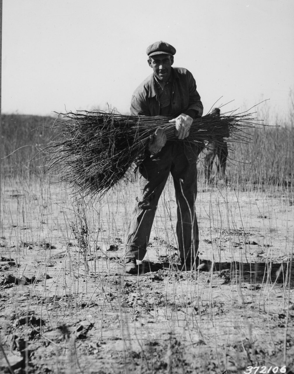 Historical Forest Service Photos (19381109-FS-Nebraska-WGB-372106)