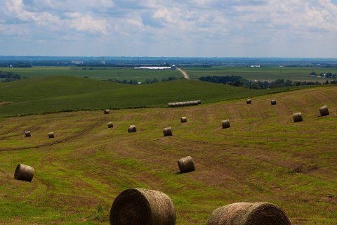 Schuyler Hills