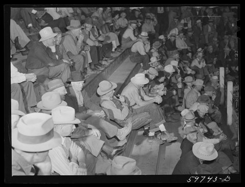 Auction at Union Livestock Commission Company