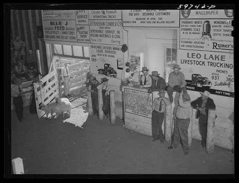 Auction at Union Livestock Commission Company