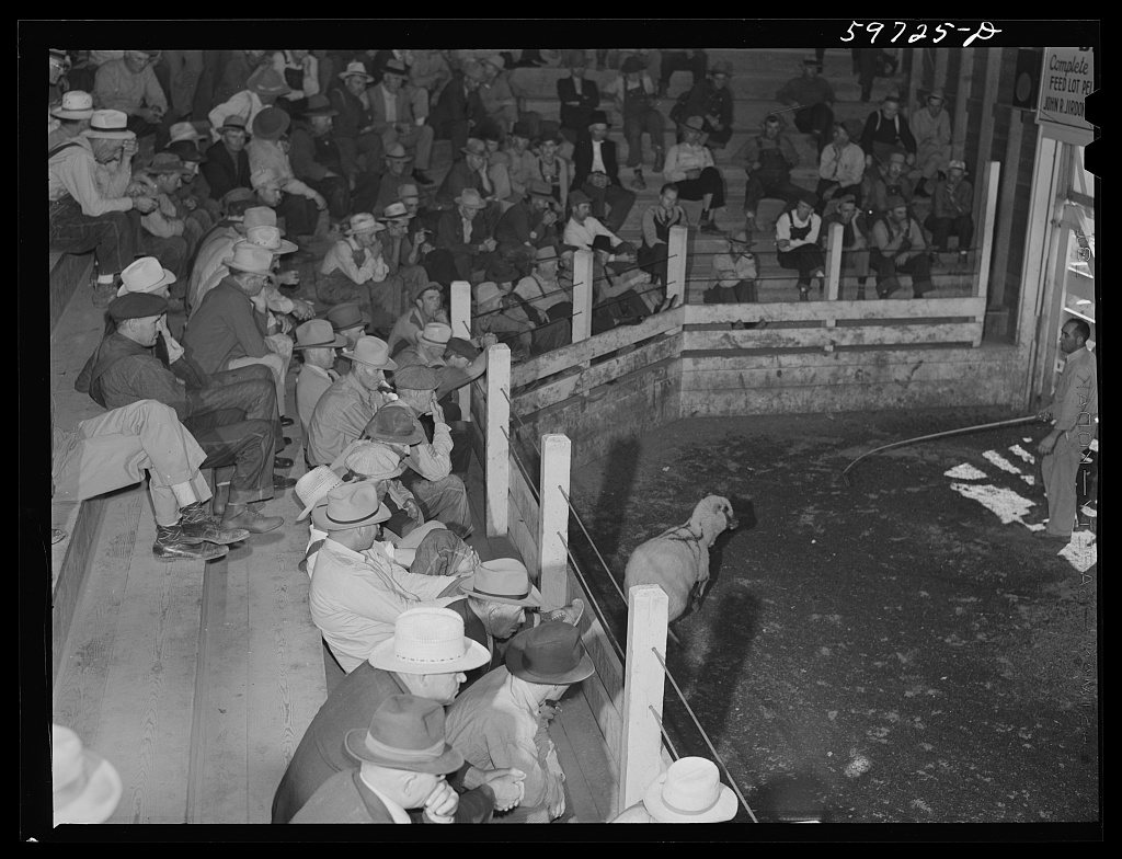 Untitled photo, possibly related to: Auction at Union Livestock Commission Company