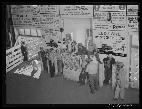 Untitled photo, possibly related to: Auction at Union Livestock Commission Company