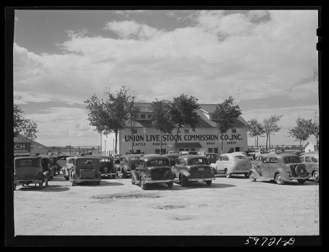 Auction at Union Livestock Commission Company