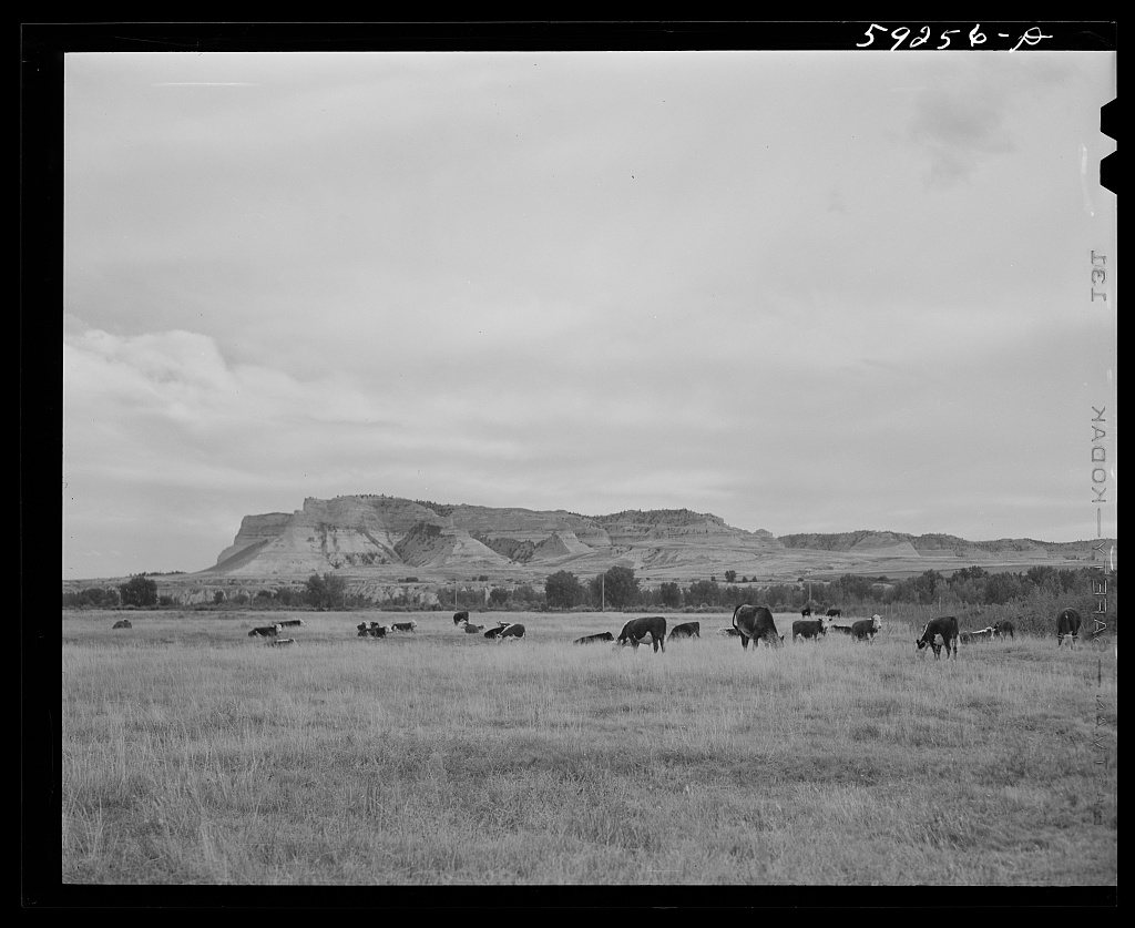 Untitled photo, possibly related to: Scottsbluff, Nebraska