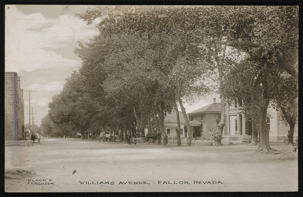 Williams Avenue