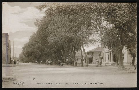 Williams Avenue