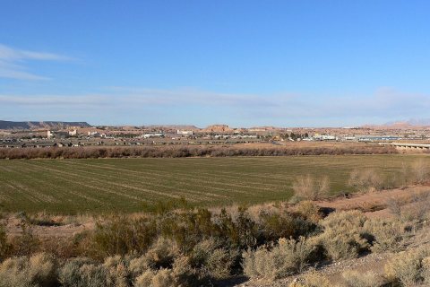 Mesquite Nevada 4