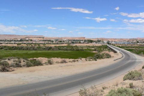 Mesquite from across river 1