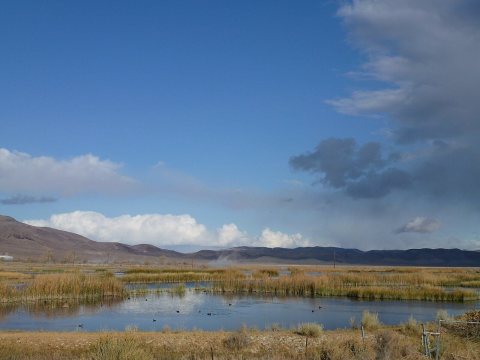 North Mason Valley Nevada, View E, November 2012