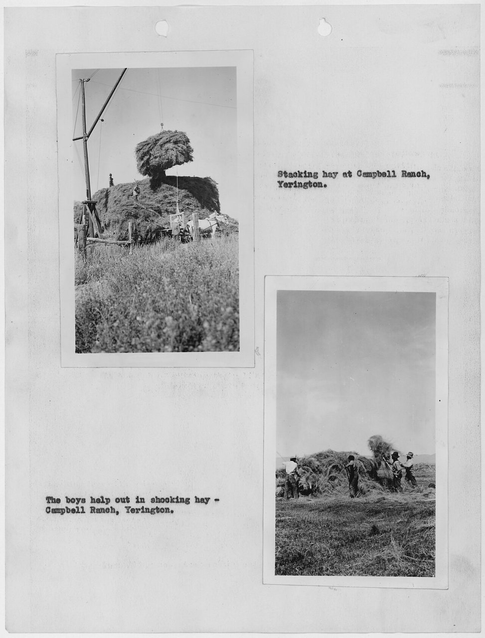 Photographs, with captions, of hay stacking at Campbell Ranch, Yerington, Nevada, from 1937 Carson Agency Annual... - N…