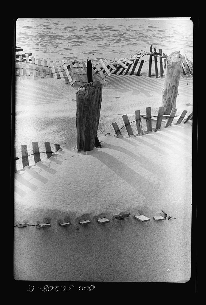 Harvey Cedars, New Jersey (Long Beach Island). Sand fences erected to protect land around houses built on the dunes nea…