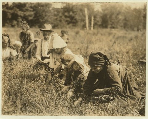 Marshintonio family. Forsythe's Bog, Turkeytown, near Pemberton, N.J. Location: Pemberton, New Jersey