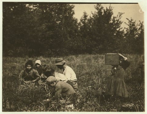 The Framo Family Forsythe's Bog, Turkeytown, near Pemberton, N.J. Sept. 29, 1910. Witness E.F. Brown. Location: Pembert…