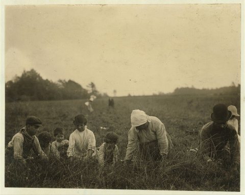 The Marnielli family. Forsythe's Bog, Turkeytown, near Pemberton, N.J. Sept. 29, 1910. Witness E.F. Brown. Location: Pe…