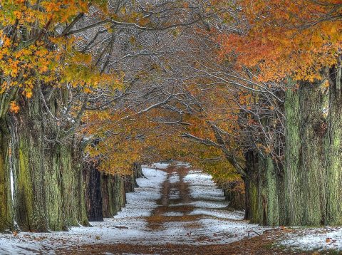 Snowy October morning in