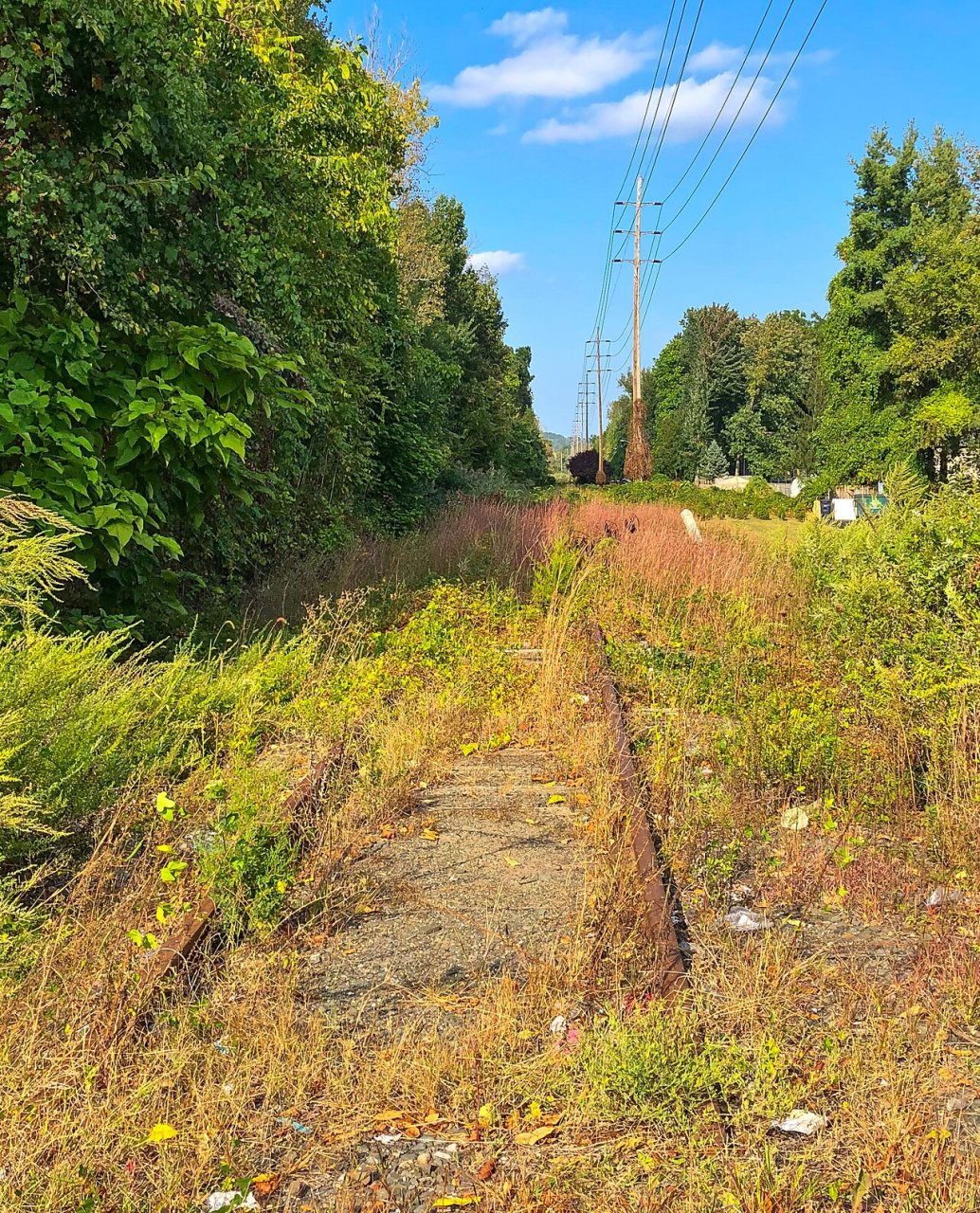 Abandoned Northern Branch Railroad Track looking North