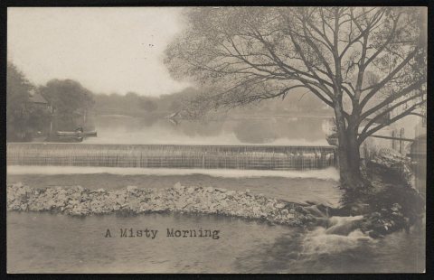 A misty morning