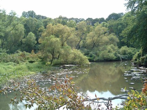 North Branch Big Timber Creek