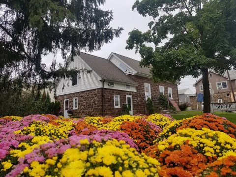 The Lozier house
