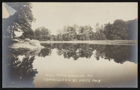 Mill pond